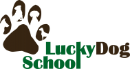 LuckyDogSchool